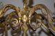 Lovely - Antique French Gilt Bronze 4 - Light Chandelier With Cherub Chandeliers, Fixtures, Sconces photo 5