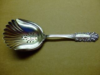 Sterling Silver Pierced Nut/bonbon Spoon Scoop Mechanics Sterling Co.  26 Grams photo