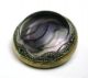 Antique Glass In Metal Button Design Under Surface W/ Brass Border Buttons photo 1