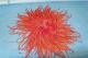 Vintage Antique Red Feather Ostrich,  Huge Pom Pom Hat Millinery,  Burlesque Victorian photo 1