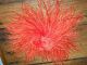 Vintage Antique Red Feather Ostrich,  Huge Pom Pom Hat Millinery,  Burlesque Victorian photo 2