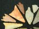 16 Neolithic Neolithique Stone Arrowheads - 6500 To 2000 Before Present - Sahara Neolithic & Paleolithic photo 2