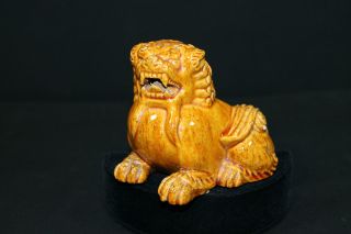 Exquisite Ceramic Chinese Foo Dog In photo
