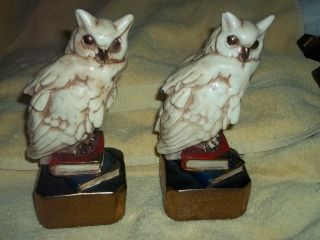 Marion Bronze Vintage Rare Snow Owls Art Statues Bookends Sculptured photo