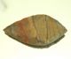 Neolithic Neolithique Flint Arrowhead - 6500 To 2000 Before Present - Sahara Neolithic & Paleolithic photo 1