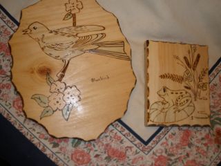 Modern Pyrography: Pine Burned Designs: Bluebird And A Happy Frog; Well Done - Fu photo
