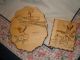 Modern Pyrography: Pine Burned Designs: Bluebird And A Happy Frog; Well Done - Fu Other photo 5