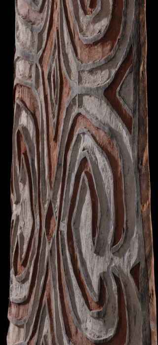 Exquisite Old War Shield Of The Asmat People In West Papua Oceanic Melanesia Art photo