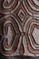Exquisite Old War Shield Of The Asmat People In West Papua Oceanic Melanesia Art Primitives photo 3