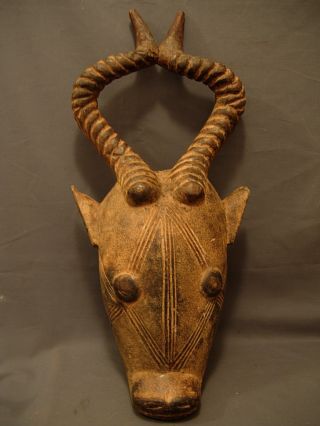 177,  Outstanding Baule Buffalo Mask,  Ivory Coast photo