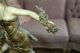 Romantic Antique Figural Lady Ladies French Moreau Stat Lamps photo 3
