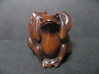 Real Japanese Netsuke Three Wise Frog Toad Carved & Signed By Gyokuzan Edo Era photo