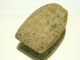 Neolithic Neolithique Diorite Axe - 6500 To 2000 Before Present - Sahara Neolithic & Paleolithic photo 6