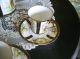Antique Nippon Chocolate Set Pitcher 6 Cup ' S & Saucers Foral Motif Handpained Victorian photo 8