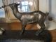 A Large Signed French Spelter Girl And Goat By Janle,  On A Marble Base Aesthetic Movement photo 9