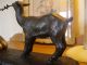 A Large Signed French Spelter Girl And Goat By Janle,  On A Marble Base Aesthetic Movement photo 1