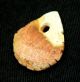 Neolithic Neolithique Marly Chalk Pendant - 6500 To 2000 Before Present - Sahara Neolithic & Paleolithic photo 5