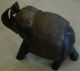 Vintage 1900s Elephant Wood Carved Metal Fitted Up Trunk Animal Good Luck Art India photo 4