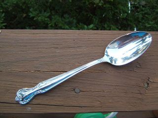 Rogers International Daybreak Elegant Lady Serving Spoon Very Good Lotb photo