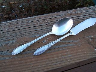 Heirloom Oneida Chateau Butter Knife & Sugar Spoon A photo