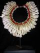 Buffalo Tooth Necklace Papua New Guinea Tribal Ethnographic Museum Quality Stand Pacific Islands & Oceania photo 1