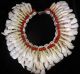 Buffalo Tooth Necklace Papua New Guinea Tribal Ethnographic Museum Quality Stand Pacific Islands & Oceania photo 2
