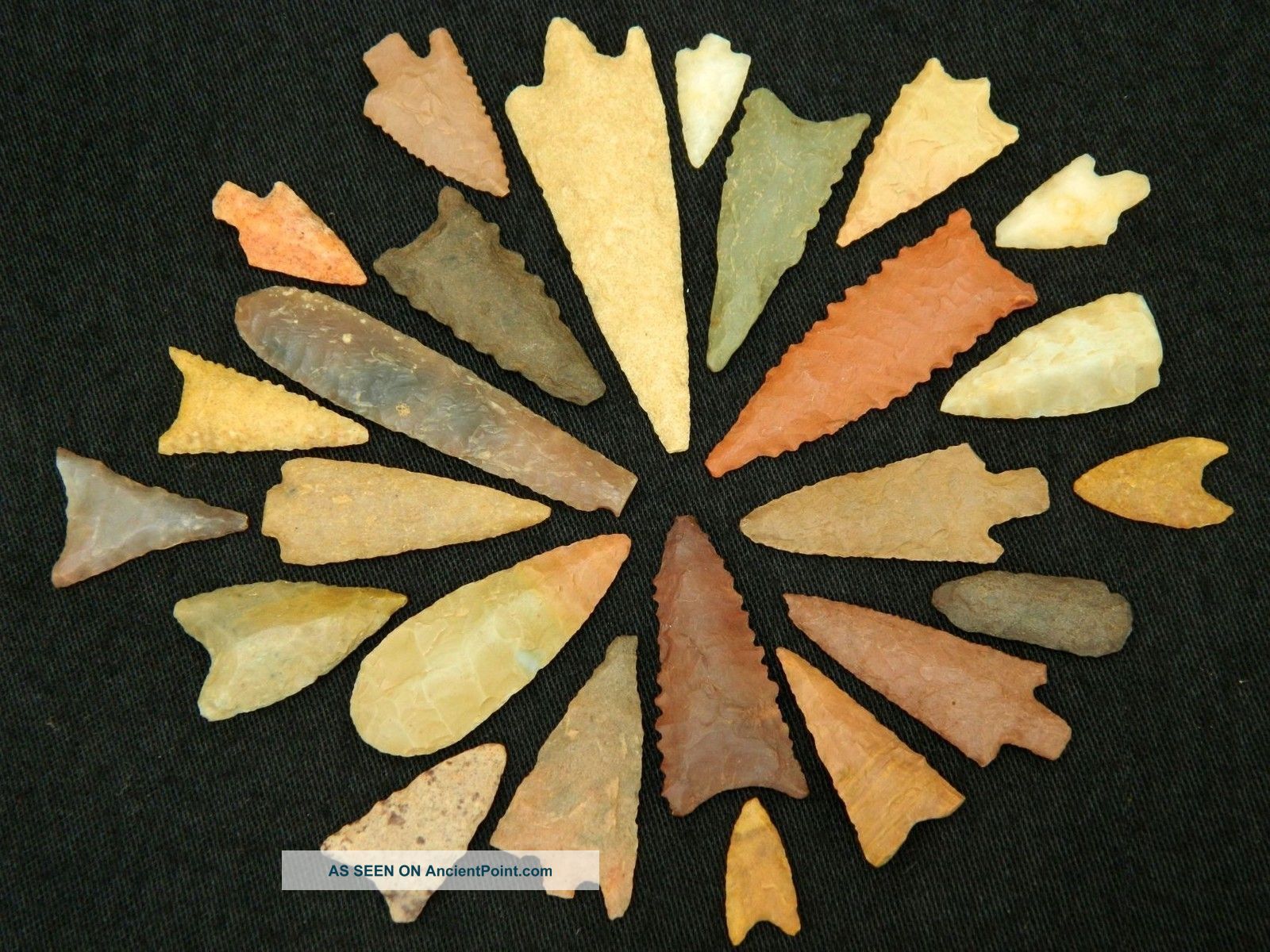 25 Neolithic Neolithique Stone Arrowheads - 6500 To 2000 Before Present - Sahara Neolithic & Paleolithic photo