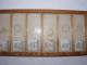 36 Microscope Slides In Box Other photo 6