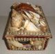 Antique 19th C Folk Art Sailor ' S Sailors Valentine Shellwork Shell Work Box 1 Folk Art photo 3