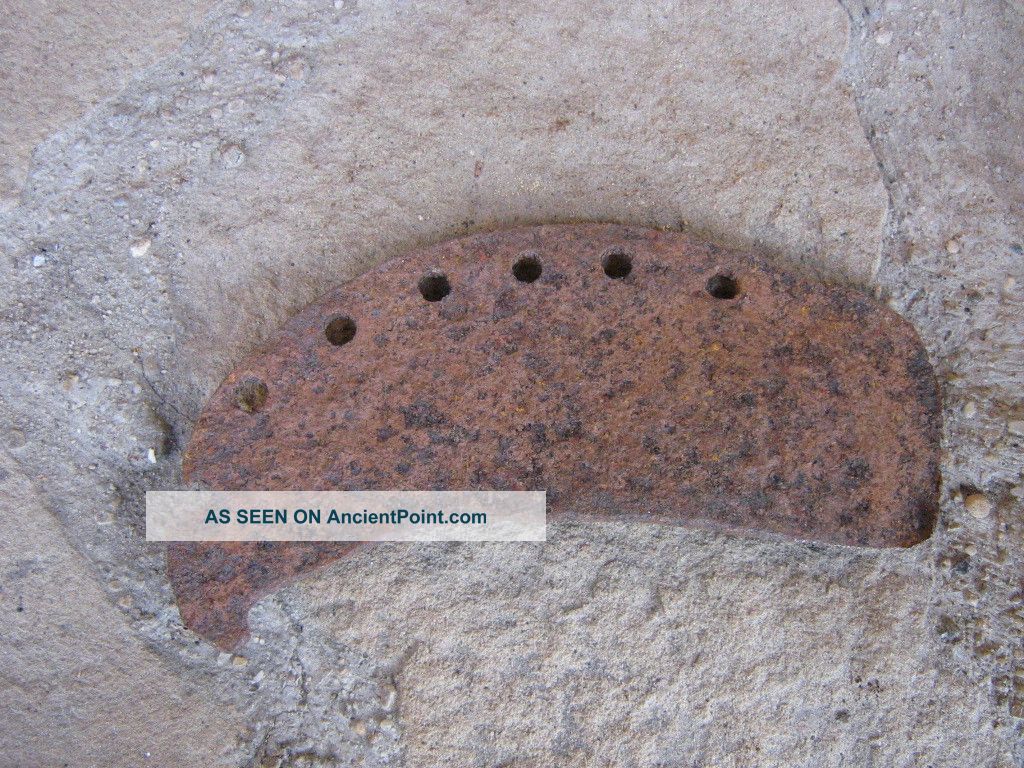 Rare Vtg Cow Or Calf Good Luck Horseshoe Very Authentic Primitives photo