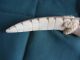 Vintage Faux Ivory Carving Of A Crocodile Other photo 3