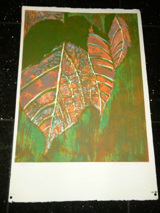 Mid Century Modern 70 ' S Wood Block Painting Print Abstract Leaves Signed Art photo