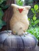 Prim N Grubby Little Folk Artsy Owl A Top A Cotton Tuffet Pin Cushion Pfatt Primitives photo 6