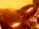 Antique English Copper Tea Kettle Teapot With Lid Late 19thcentury Metalware photo 5