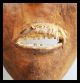 An Expresssive Mask From The Mbunda Tribe Of Angola Other photo 3