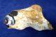 British Mesolithic Flint Pebble Chopper From Dorset Neolithic & Paleolithic photo 2