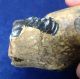 British Lower Palaeolithic Flint Pebble Handaxe Tool From Dorset Neolithic & Paleolithic photo 7