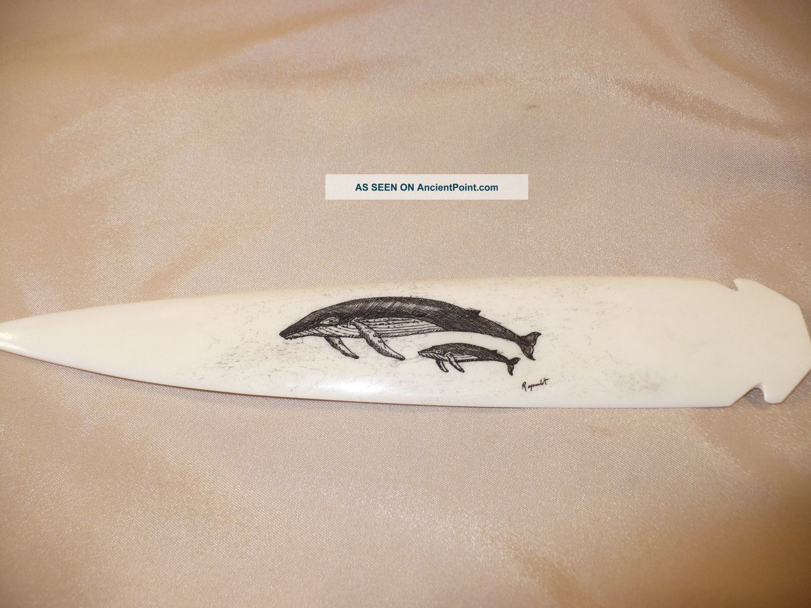 Scrimshaw Buffalo Bone Spear Handle Letter Opener Humpback Whales Scrimshaws photo