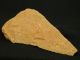 Lower Paleolithic Paleolithique Quartzite Hand Axe - 700000 To 100000 Bp - Sahara Neolithic & Paleolithic photo 2