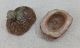 F171: Japanese Shigaraki Pottery Incense Case Kogo Straw Rice Bag And Rat Image Other photo 3
