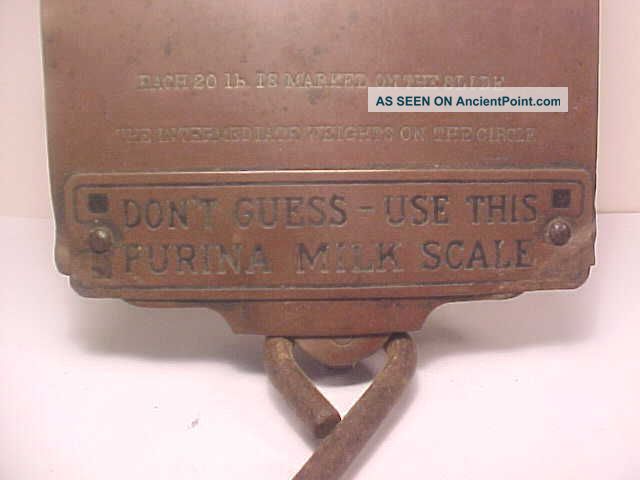 Rare Antique Advertising Purina Cow Chow Brass Milk Scale Dairy Cattle Scale Scales photo
