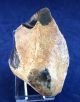 British Mesolithic Flint Pebble Chopper Or Piercer From Dorset Neolithic & Paleolithic photo 3