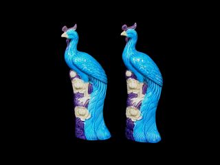 Rare And Large Antique Chinese Turquoise Glazed Peacocks,  Ca.  1900 Perfect photo