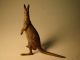 Outstanding Austrian Bronze Amazing Kangaroo Metalware photo 1