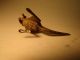 Outstanding Austrian Bronze Amazing Kangaroo Metalware photo 4
