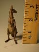 Outstanding Austrian Bronze Amazing Kangaroo Metalware photo 8