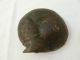 Wonderful Old Folk Art Wood Whimsy Carving Of A Sleeping Cat Primitives photo 1