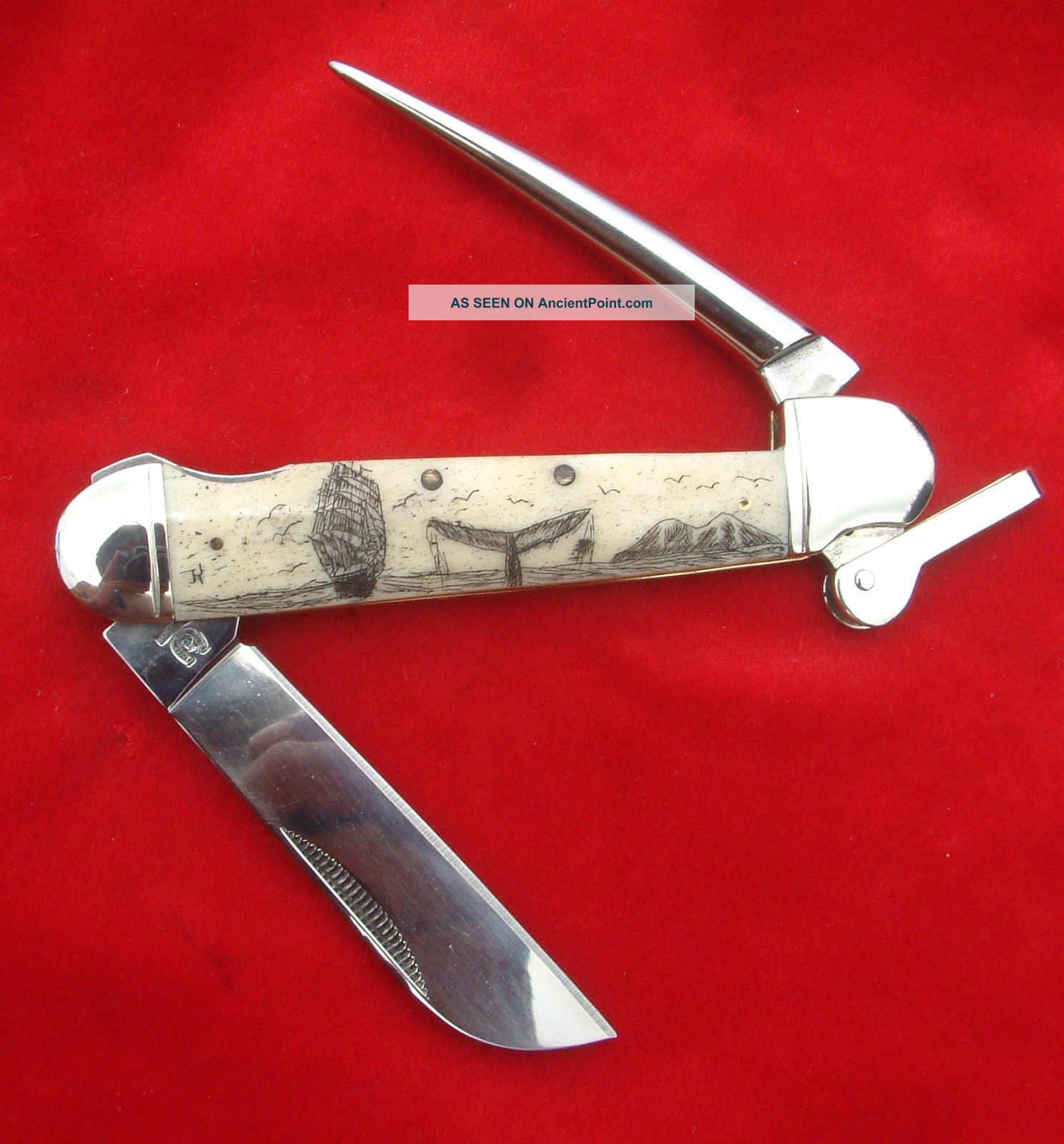 Scrimshaw Art,  Ship,  Island,  Whale,  Marlin Spike Folding Knife/knives Scrimshaws photo