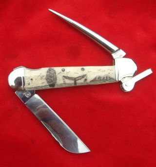 Scrimshaw Art,  Ship,  Island,  Whale,  Marlin Spike Folding Knife/knives photo