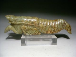 Excellent Hetian Jade Carved Shrimp Statue 690g photo